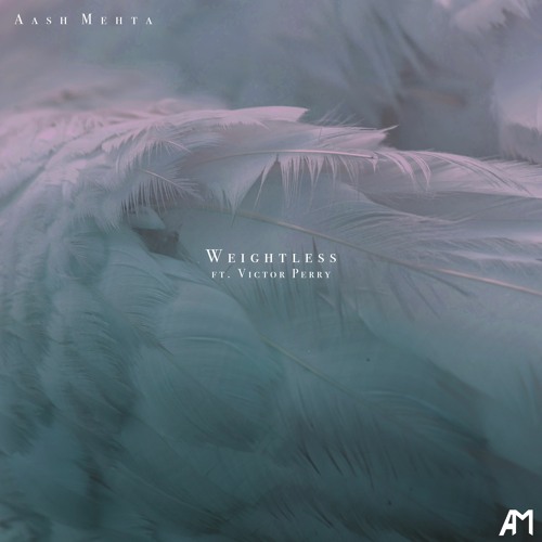 Weightless (ft. Victor Perry)