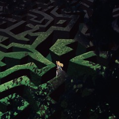 fxck the world **m/v on yt**