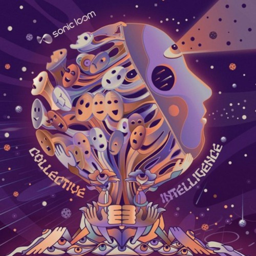 Algorithium & Ektomorph - Unplugged ( V.A - Collective Intelligence )