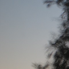 untitled 4 [forever]