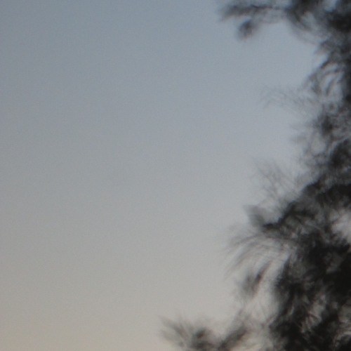 untitled 4 [forever]