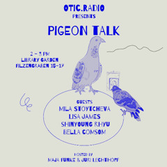 otic.radio: pigeon talk 20.07.2025