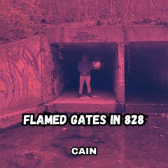 Flamed Gates in 828 (prod. Scary Mind)