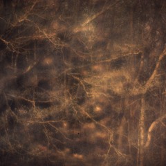 Contemplation : julo julo (15.10.24)