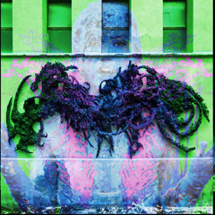 neon scars @yunglanny @tosha