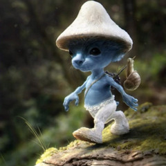 ADIKOVIC KONDONOVIC (LHTH DISS)