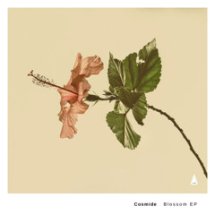 PREMIERE: Cosmide - Blossom