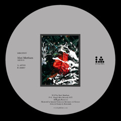 IARLTDS005 - Mari Mattham - Artico
