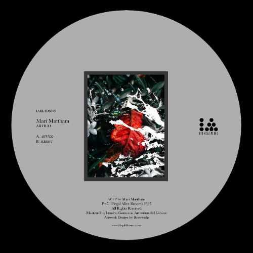 IARLTDS005 - Mari Mattham - Artico
