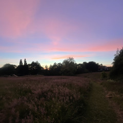 Summer 2024 Promo Mix