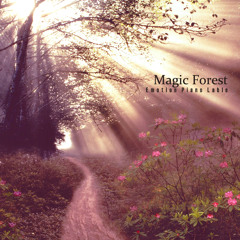 마법의 숲 A Magical Forest