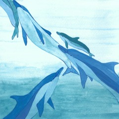 Liberation: ouverture