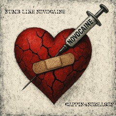 Numb Like Novocaine (Official Audio)