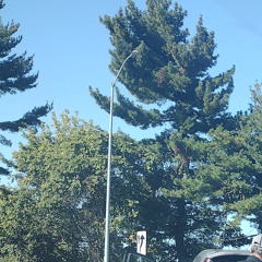 alchemy (hollowprpl)