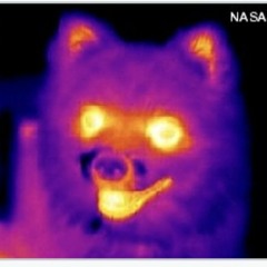 Simmering slime sound effect