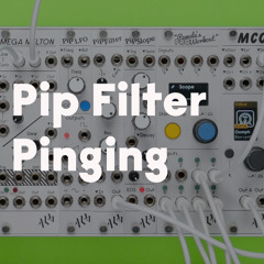 Pip Filter Pinging