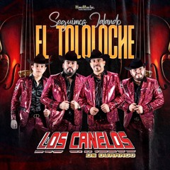 El Coyote ( Tololoche)