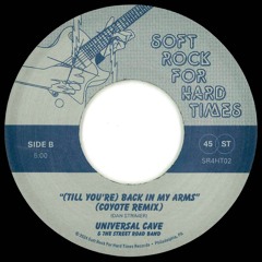 (Til You're) Back in My Arms (Coyote 7" Remix)