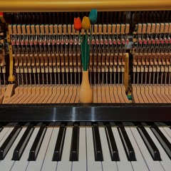 Loniterp (demo) - Verdena