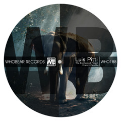 The Enchanted Forest (Luis Pitti Piano Mix)