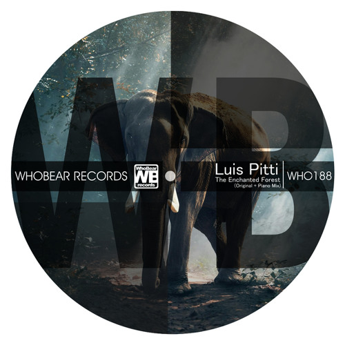 The Enchanted Forest (Luis Pitti Piano Mix)