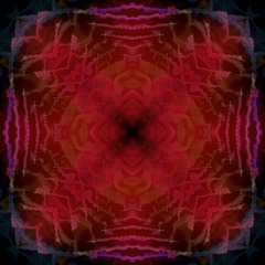 FRACTAL Signal - Midnight Redline - Psytech - Barbarella 2025