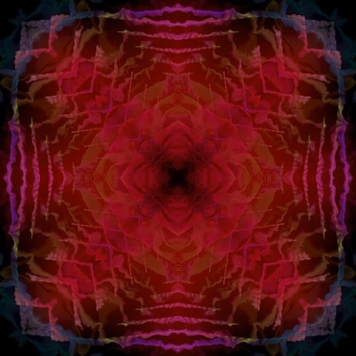 FRACTAL Signal - Midnight Redline - Psytech - Barbarella 2025