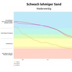 Wassermeister & Gitarre