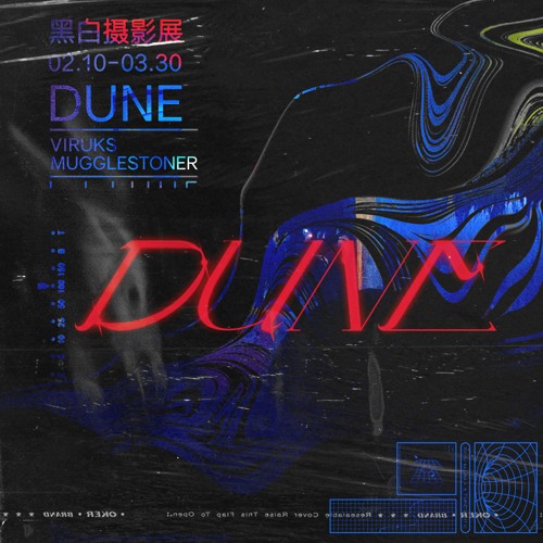Viruks & MuggleStoner - Dune