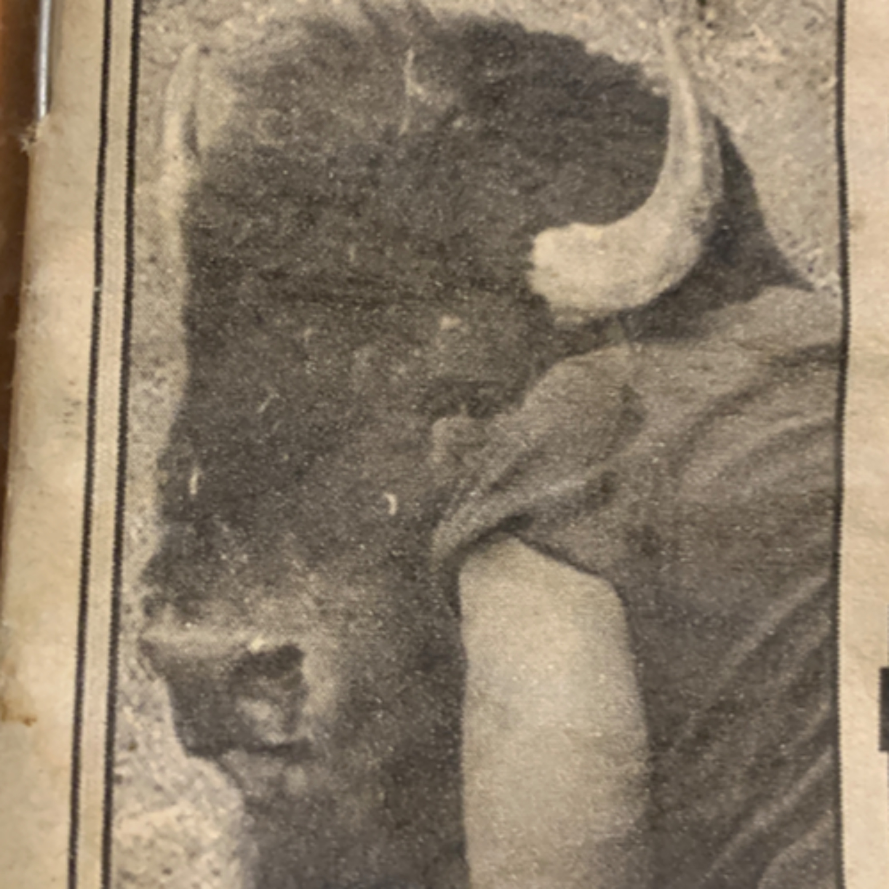 Tuesday Titter - WEEKLY WORLD NEWS. episode artwork