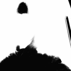 zipbag (7kvrma pil emildollaz)