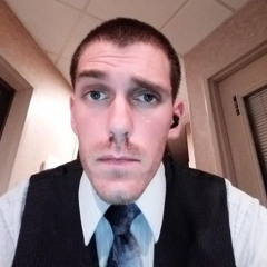 david turn me on (dj paul hard style remix)