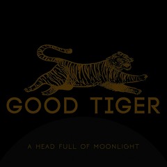 MixtheFreak ft Andy Cizek - Snake Oil | Good Tiger cover - RSonic Mix