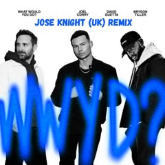 What Would You Do (Jose Knight (UK) Remix) [Radio Edit]