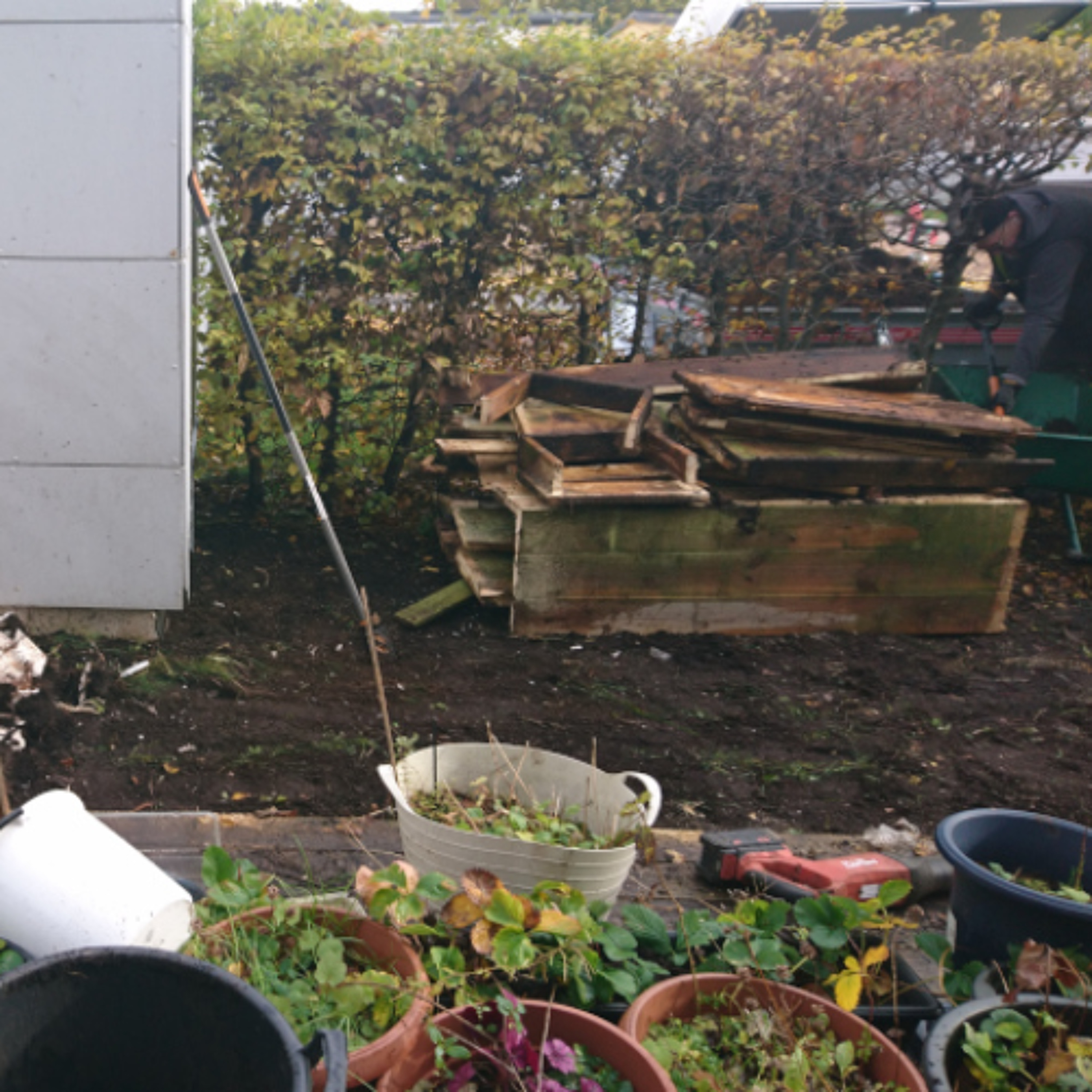 He come this morning and helped me with the garden episode artwork