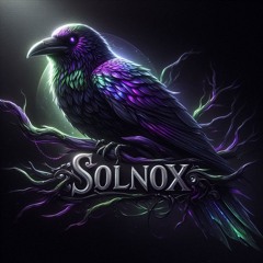 SOLNØX HOMEGROWN FEST AFTERPARTY @ WANDERLINGER 11.8.25 (OPENING SET FOR VOODOO)