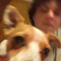 hounds w r000 prod @balla @sohi @jade