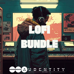 Audentity Records - Lofi Bundle - Demo
