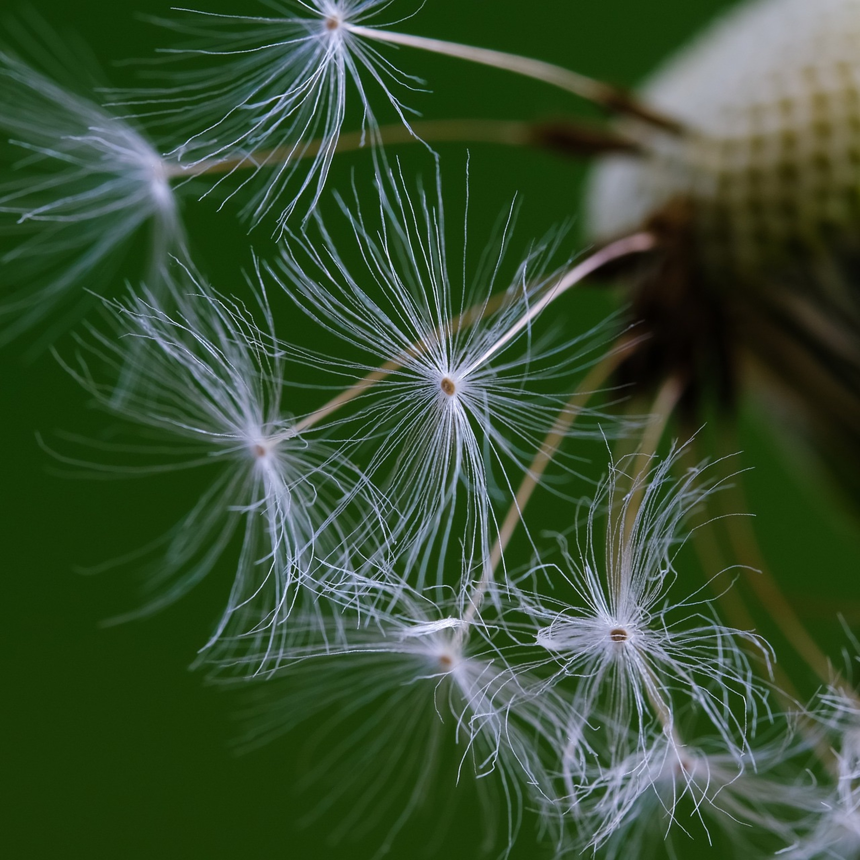 CC146: Do We Need PROOF of God to Know He Exists? (Dr. Tyler McNabb)