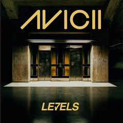 Avicii - Levels (Galingas Remix)