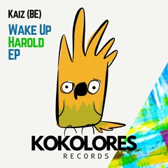 Kaiz (BE) - Wake Up Harold (Radio Edit)