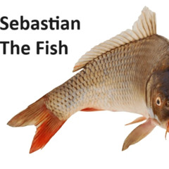 fiji in the beans - sebastian the fish