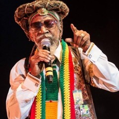 100% vinyl Bunny Wailer and The Wailers 73rd Birthday Tribute Mix Down (4/10/20/Facebook live) pt. 1
