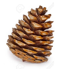 @fuxkjaiii - inkonsolable [prod. fuxkjaii] #BalladOfAForsakenStain #staininvain #shiloh