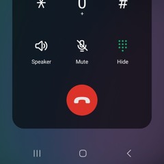 16473832333_1_1713758703432.mp3