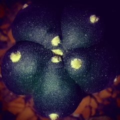 C418 - Aria Math handpan cover (UnI Remix)