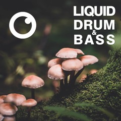 Liquid Drum and Bass Sessions  #31 : Special Edition [October 2020]