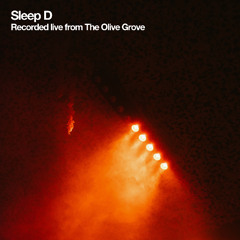 Live from the Adriatic 2025: Sleep D