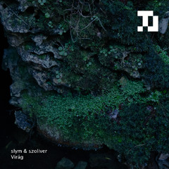 'Virág' EP // slym & szoliver