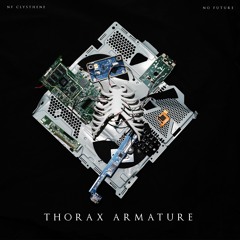 Thorax Armature